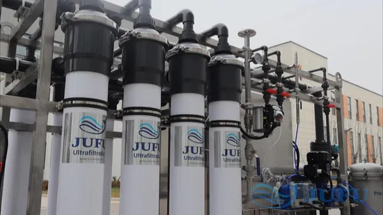 10 tph Ultrafiltrations-Wasseraufbereitungssysteme UF-Wasserreiniger-Wasserfiltersystem